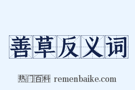 善草反义词是什么意思的图片